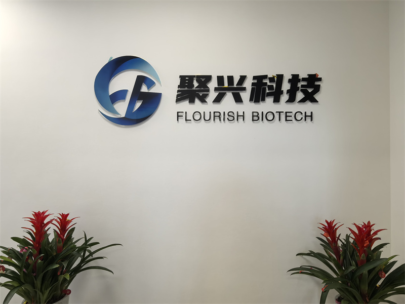 聚兴研发新基地稳健运...